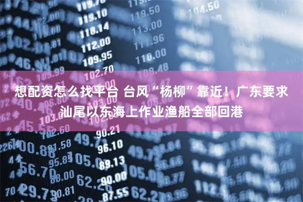 想配资怎么找平台 台风“杨柳”靠近！广东要求汕尾以东海上作业渔船全部回港